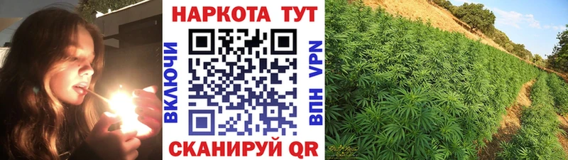 Названия наркотиков Черепаново Гашиш  СОЛЬ  МЕГА зеркало  Меф мяу мяу  Каннабис  Кокаин 