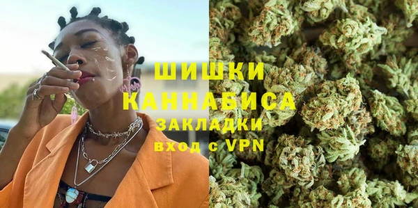 ПСИЛОЦИБИНОВЫЕ ГРИБЫ Алагир