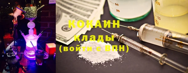 твердый Лиски