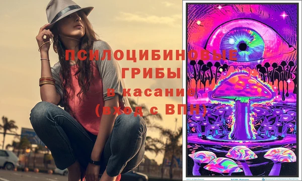 хмурый Липки